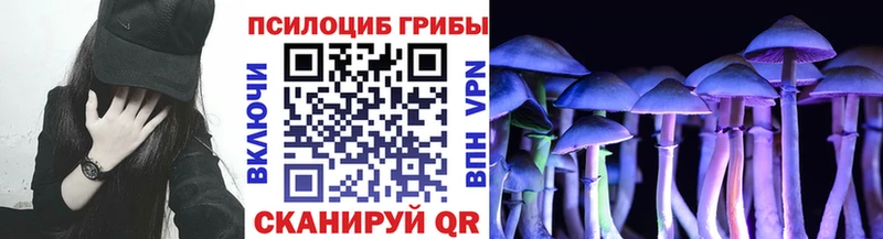 Псилоцибиновые грибы прущие грибы  Сертолово 
