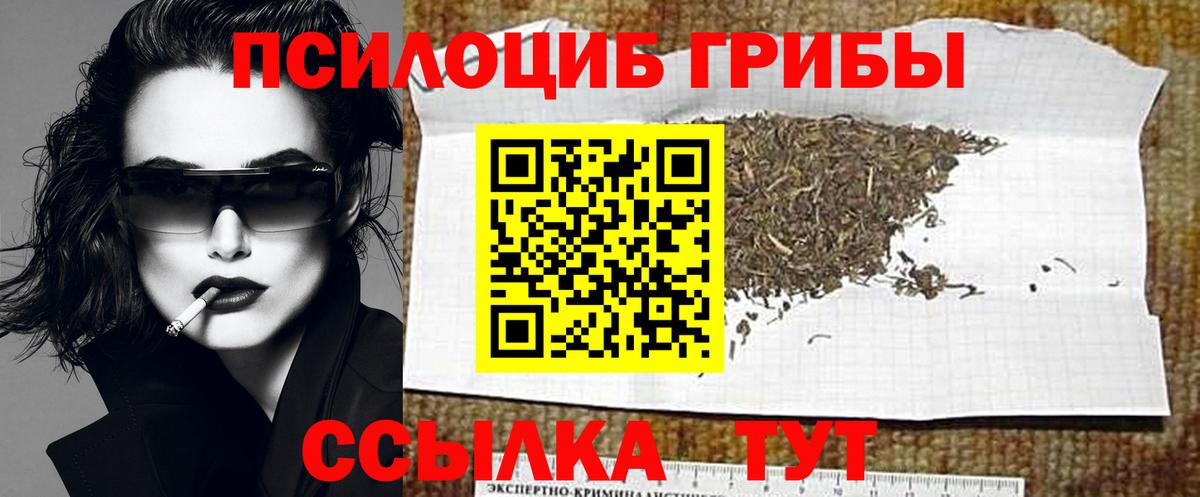 Сертолово  Галлюциногенные грибы Magic Shrooms  Вход с VPN 