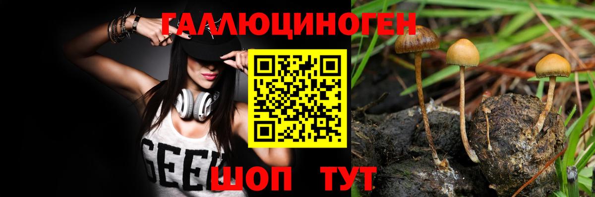 Галлюциногенные грибы ЛСД Сертолово