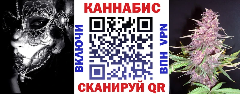 Бошки Шишки план  Сертолово 